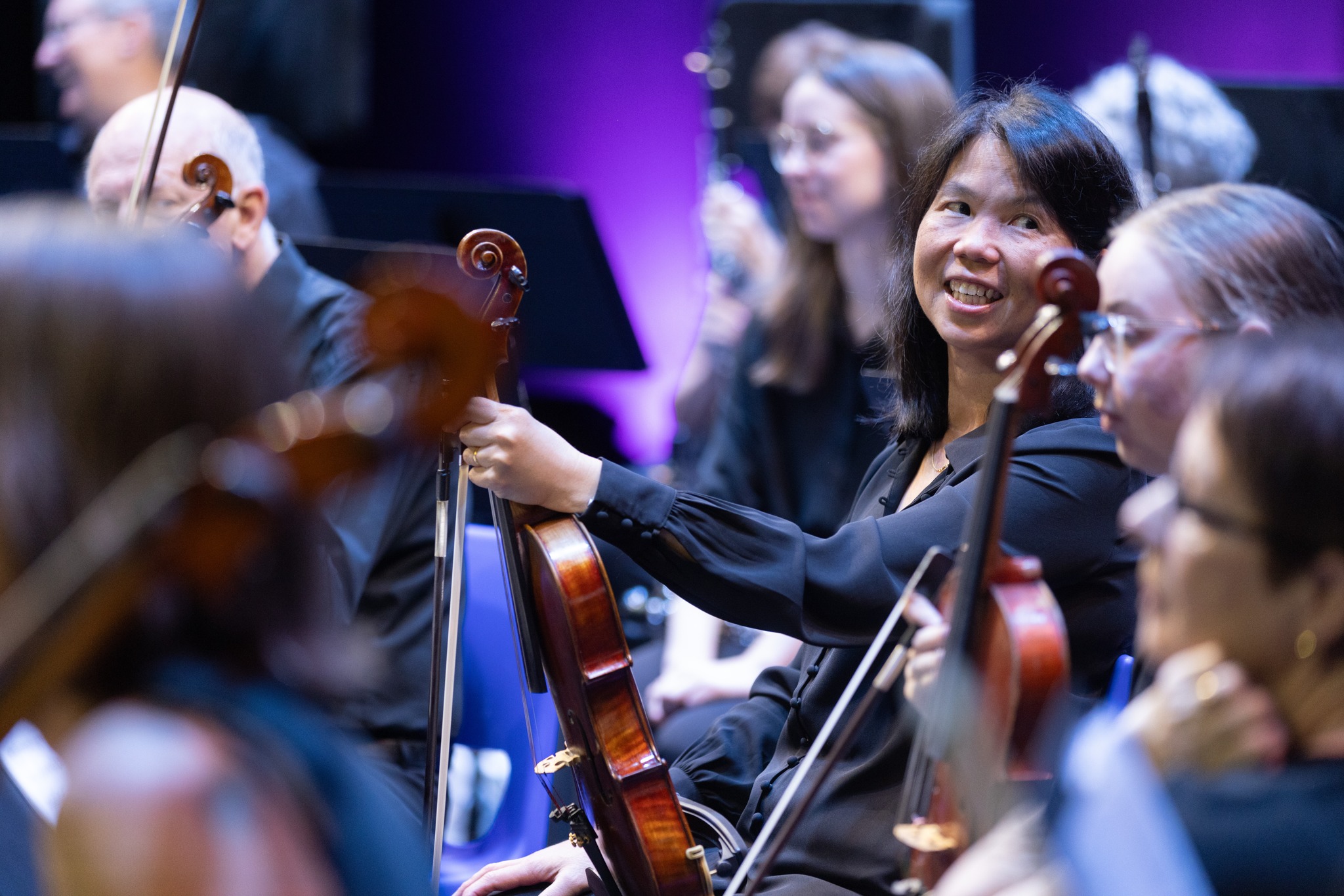 2023 Nov Violas